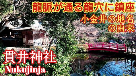 龍の通り道|東京 龍脈が交差する龍穴に鎮座するパワースポット『貫井神社。